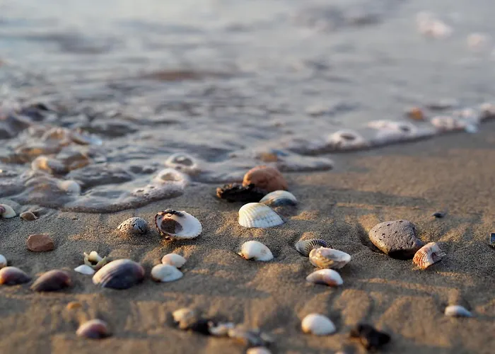 Comfortable Retreat With Garden * Bibione